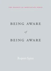 Being Aware of Being Aware