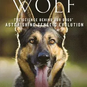 Sykes, B: Once a Wolf