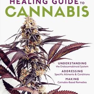 Wholistic Healing Guide to Cannabis