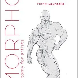 Morpho Muscled Bodies