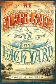 Elephants in My Backyard