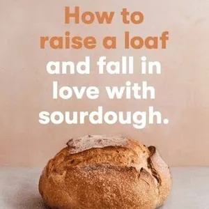 How to raise a loaf and fall in love with sourdough