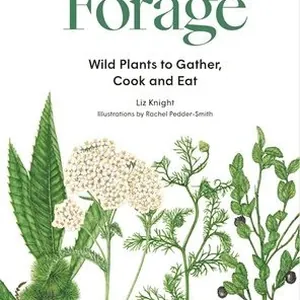 Forage