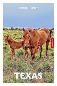 Insight Guides Texas: Travel Guide with eBook