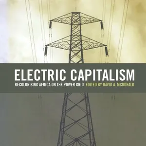 Electric Capitalism