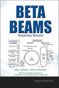 Beta Beams: Neutrino Beams