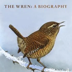 Wren