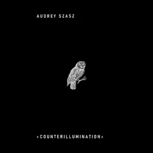 Szasz Audrey: Counterillumination