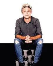 Niall Horan Diary