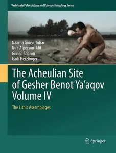 Acheulian Site of Gesher Benot Ya'aqov Volume IV
