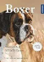 Boxer