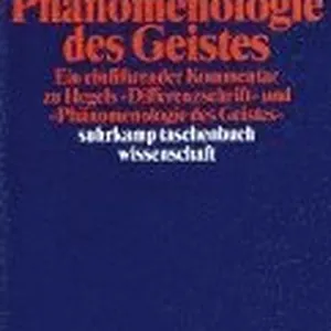 Der Weg der ' Phänomenologie des Geistes'