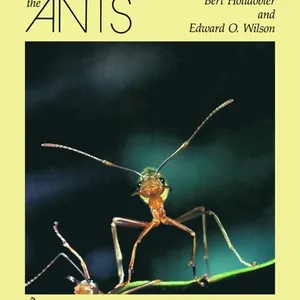 Ants
