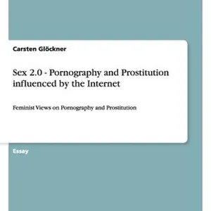 Sex 2.0 - Pornography and Prostitution influenced by the Internet