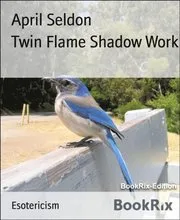 Twin Flame Shadow Work