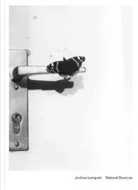 Jochen Lempert (Multilingual edition)