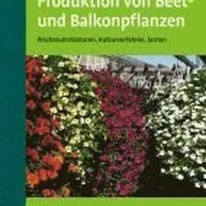 Produktion von Beet- und Balkonpflanzen