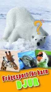Frågesport för barn : djur