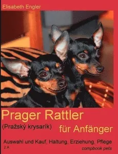 Prager Rattler (Prazskÿ krysarík) für Anfänger