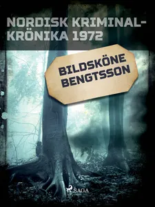 Bildsköne Bengtsson, E-bok