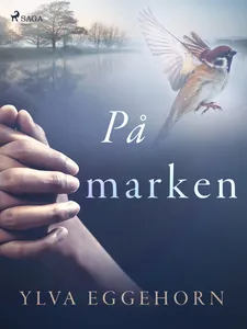 På marken, E-bok