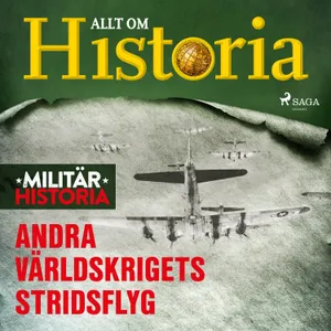 Andra världskrigets stridsflyg, Ljudbok
