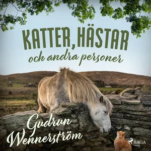 Katter, hästar och andra personer, Ljudbok