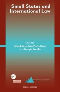 Small States and International Law