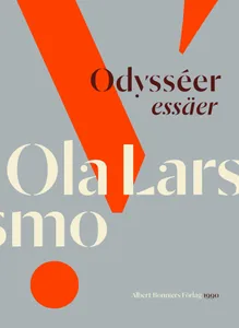 Odysséer : essäer, E-bok