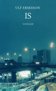 Is : Noveller, E-bok
