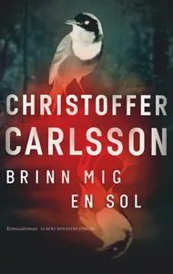 Brinn mig en sol, E-bok
