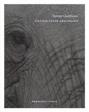 Okunskapens arkeologi