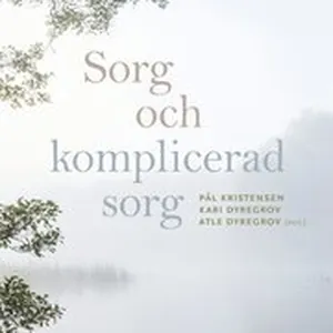 Sorg och komplicerad sorg