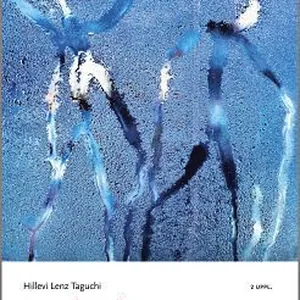 In på bara benet, 2 uppl : En introduktion till feministisk poststrukturalism och subjektivitetsteori