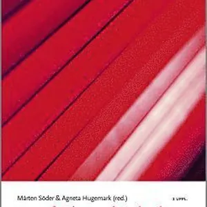 Bara funktionshindrad? : funktionshinder och intersektionalitet