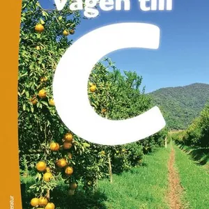 Vägen till C