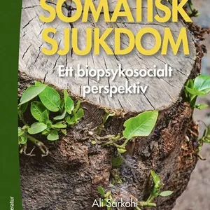 Somatisk sjukdom : ett biopsykosocialt perspektiv