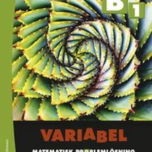 Variabel B1 - Digitalt + Tryckt - Matematisk problemlösning