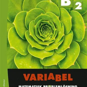 Variabel B2 - Digitalt + Tryckt - Matematisk problemlösning