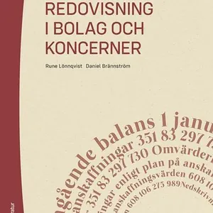 Redovisning i bolag och koncerner