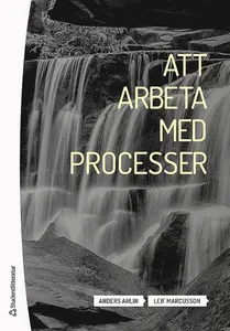 Att arbeta med processer