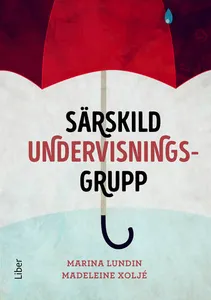 Särskild Undervisningsgrupp
