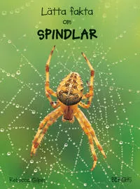 Lätta fakta om spindlar
