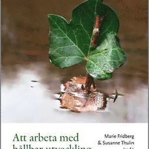 Att arbeta med hållbar utveckling i förskolan