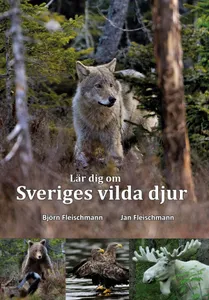 Lär Dig Om Sveriges Vilda Djur
