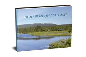 Bilder Från Ljøradalføret