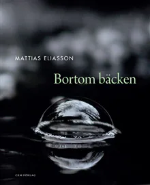 Bortom bäcken