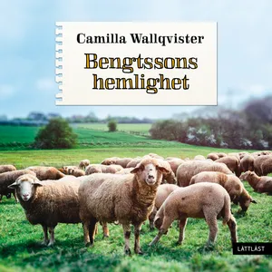 Bengtssons hemlighet (lättläst), Ljudbok