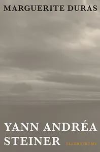 Yann Andréa Steiner