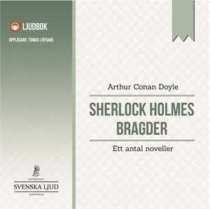 Sherlock Holmes bragder : ett antal noveller, Ljudbok